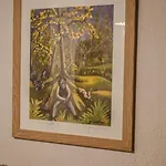 Casa Soraya * ファルカーデ