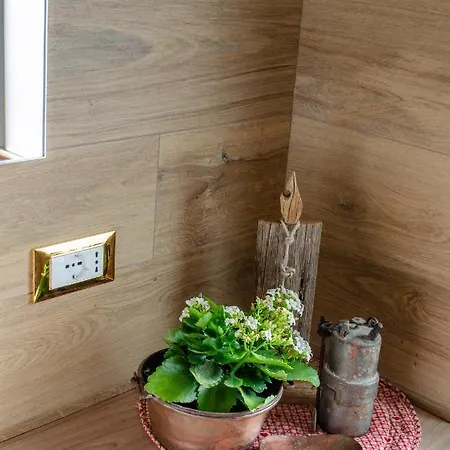 Casa Soraya Διαμέρισμα Falcade