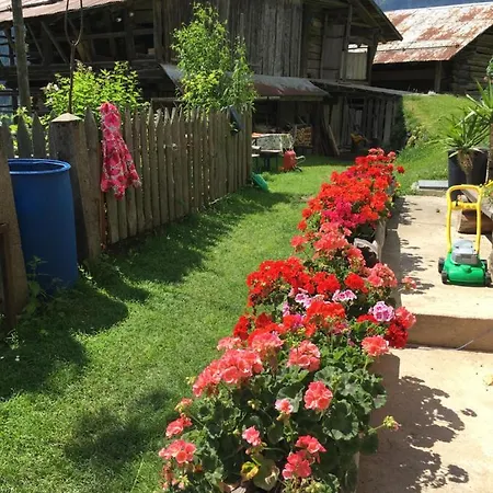 Casa Soraya
